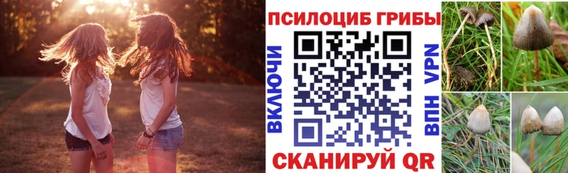 Псилоцибиновые грибы Psilocybe Хвалынск